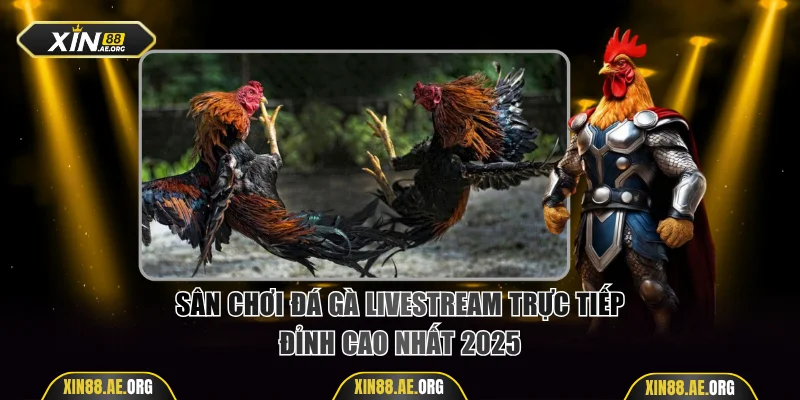 Sân chơi đá gà livestream trực tiếp đỉnh cao